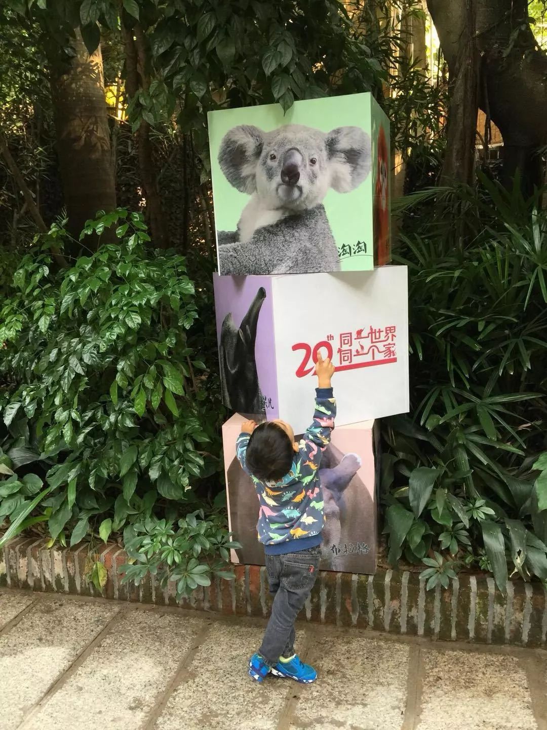 珠海长隆亲子游吃玩住行,长隆动物园攻略亲子游