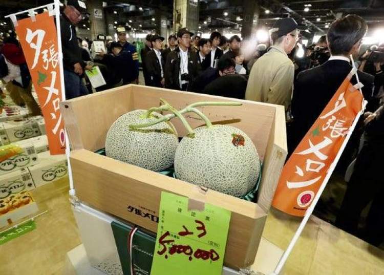 日本最贵的葡萄是什么葡萄,日本水果葡萄多少钱一串