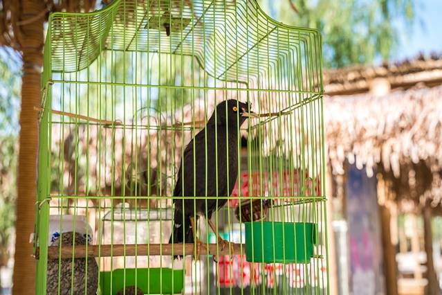 没想到，真有人在大漠建了一座能看星星的边城驿站