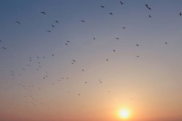 塞尔维亚诺维萨音乐节,塞尔维亚7月音乐节时间