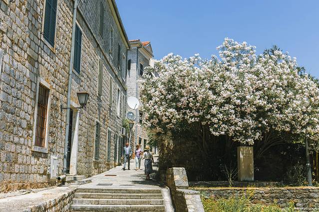 塞尔维亚诺维萨音乐节,塞尔维亚7月音乐节时间