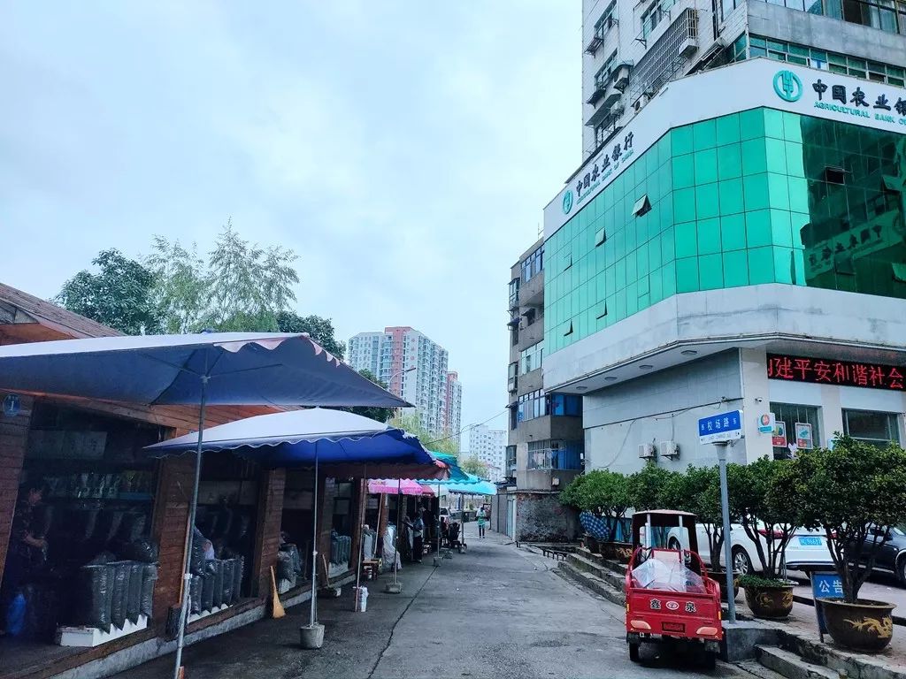 “*意民**直通车”权威回复出炉啦！竹溪人，有问题想折射你应这样做！