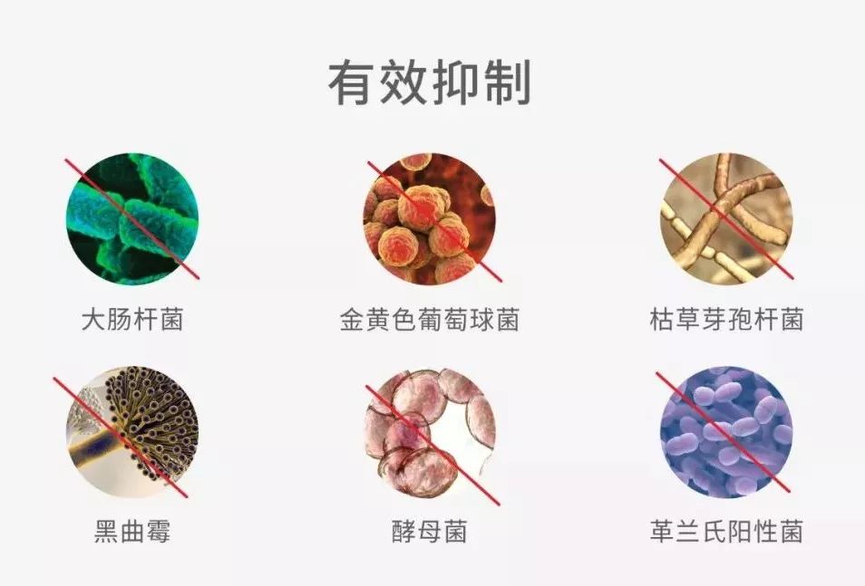 鑼佃姯鍐呰。娲楁姢鍑濋湶,宕囧Э鍐呰。娓呮磥鍑濋湶