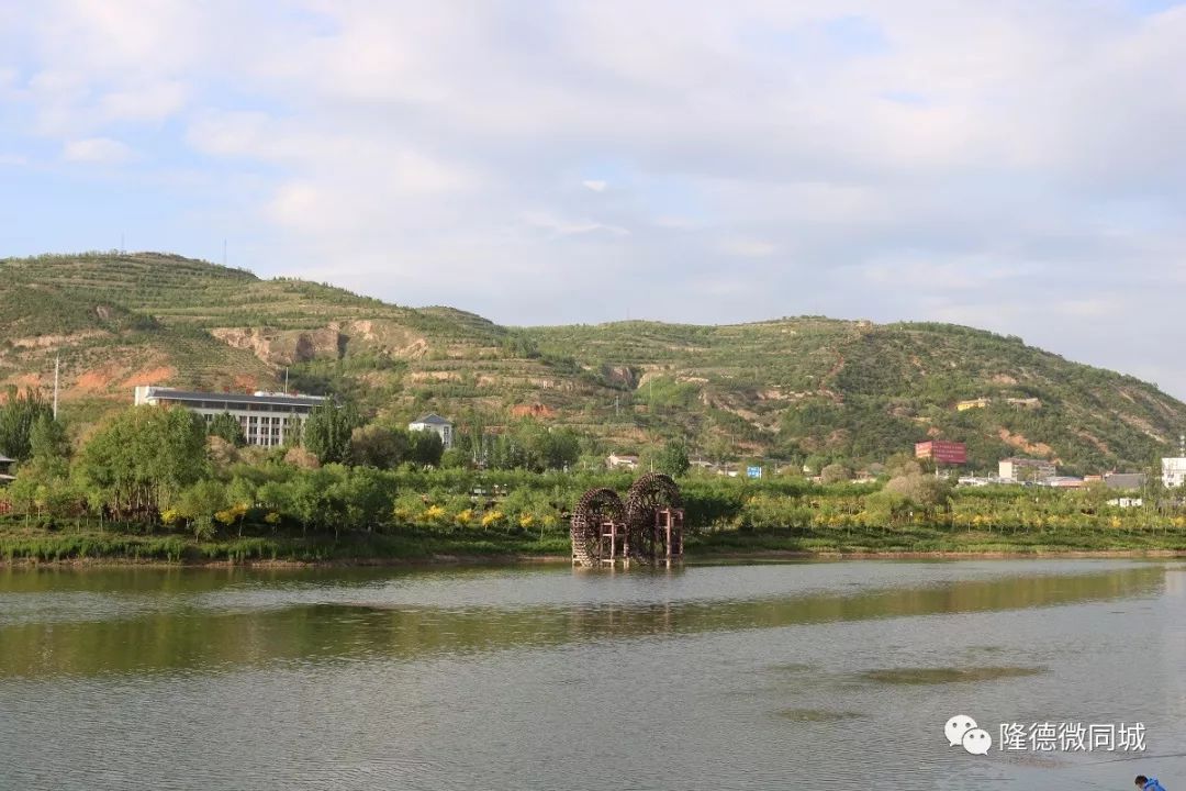 隆德电玩时代的抓“五子”“狼吃娃娃”你知道是什么吗？