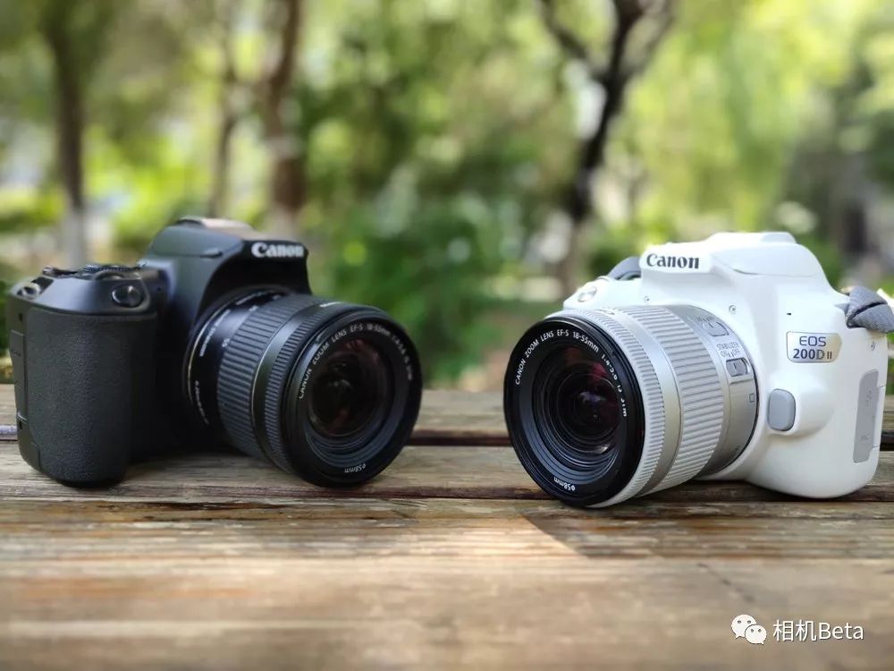 小单反相机入门,最小的单反相机有哪些