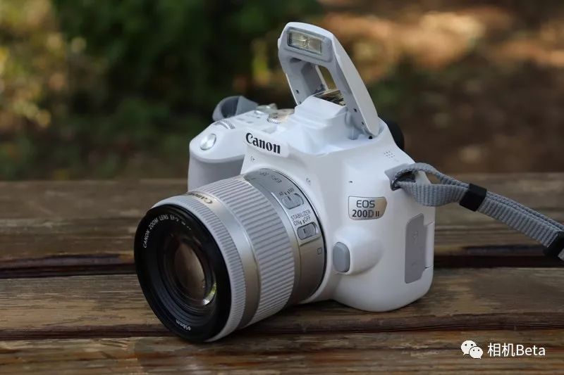 小单反相机入门,最小的单反相机有哪些