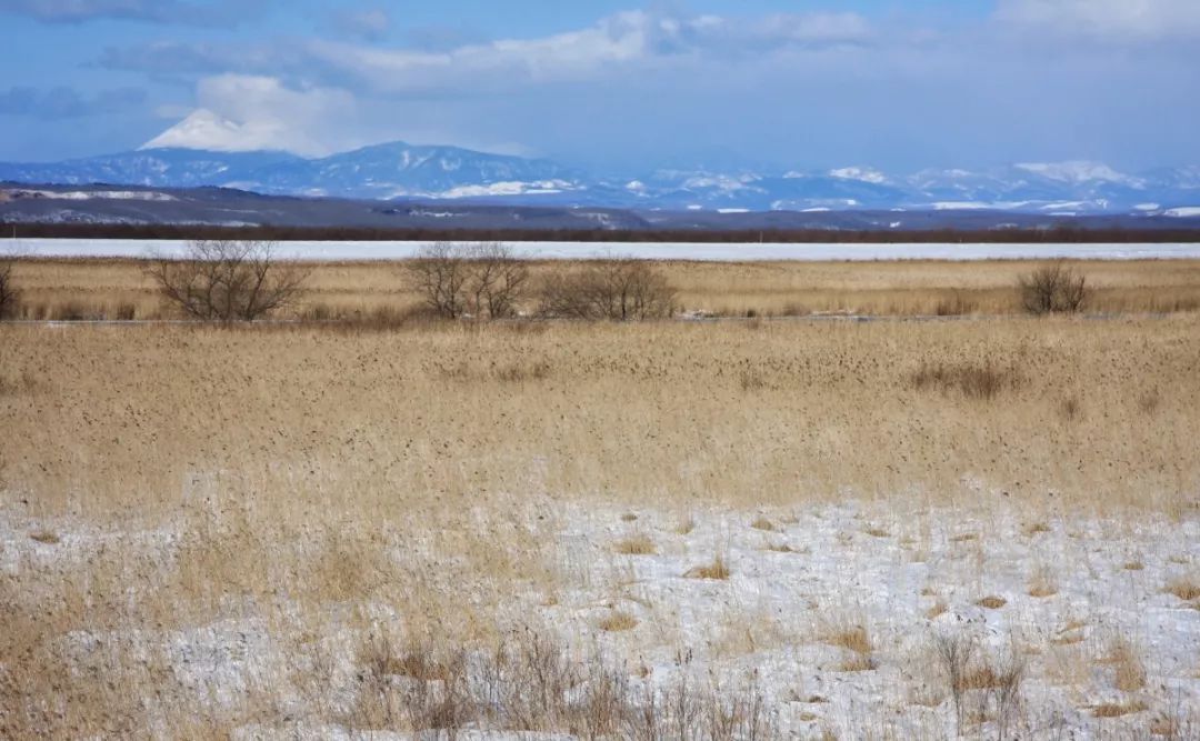日本最后的秘境,日本最北端北海道