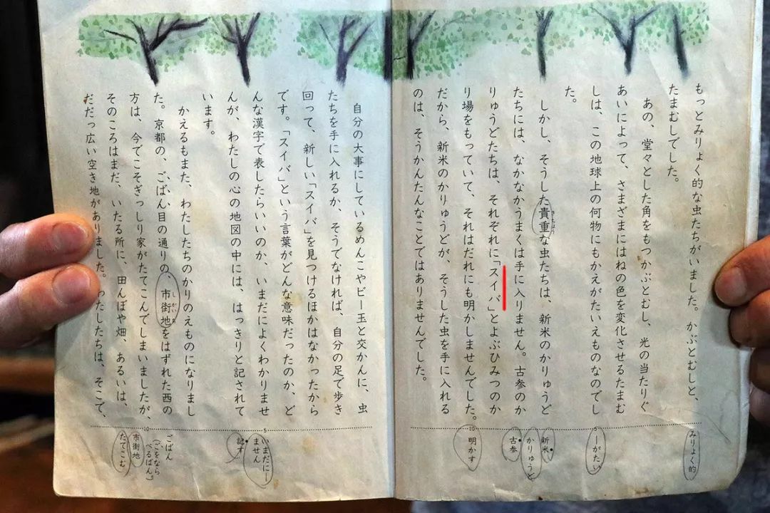 日本最后的秘境,日本最北端北海道