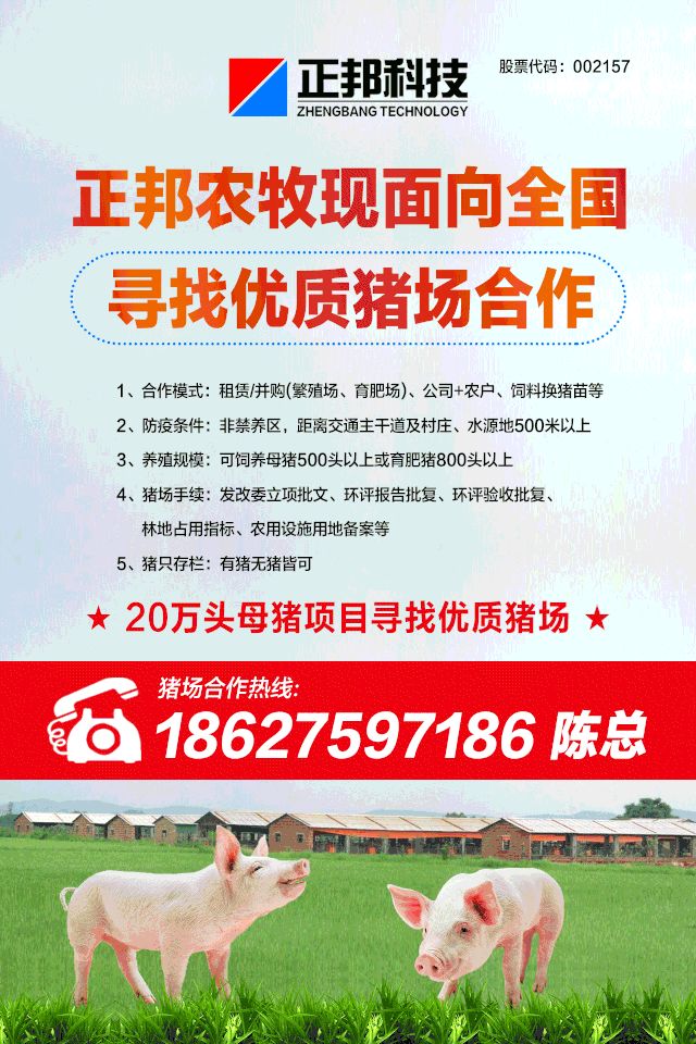 正邦农牧猪场合作,正邦农牧养猪