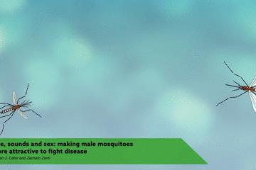 让蚊子快速灭绝的音乐,灭绝的驱蚊神曲