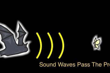 让蚊子快速灭绝的音乐,灭绝的驱蚊神曲