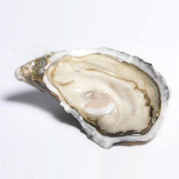 蚝不一样法国生蚝,最好的法国生蚝