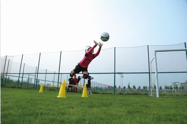 葡萄牙体育足球俱乐部主帅,葡萄牙足球国家队主教练