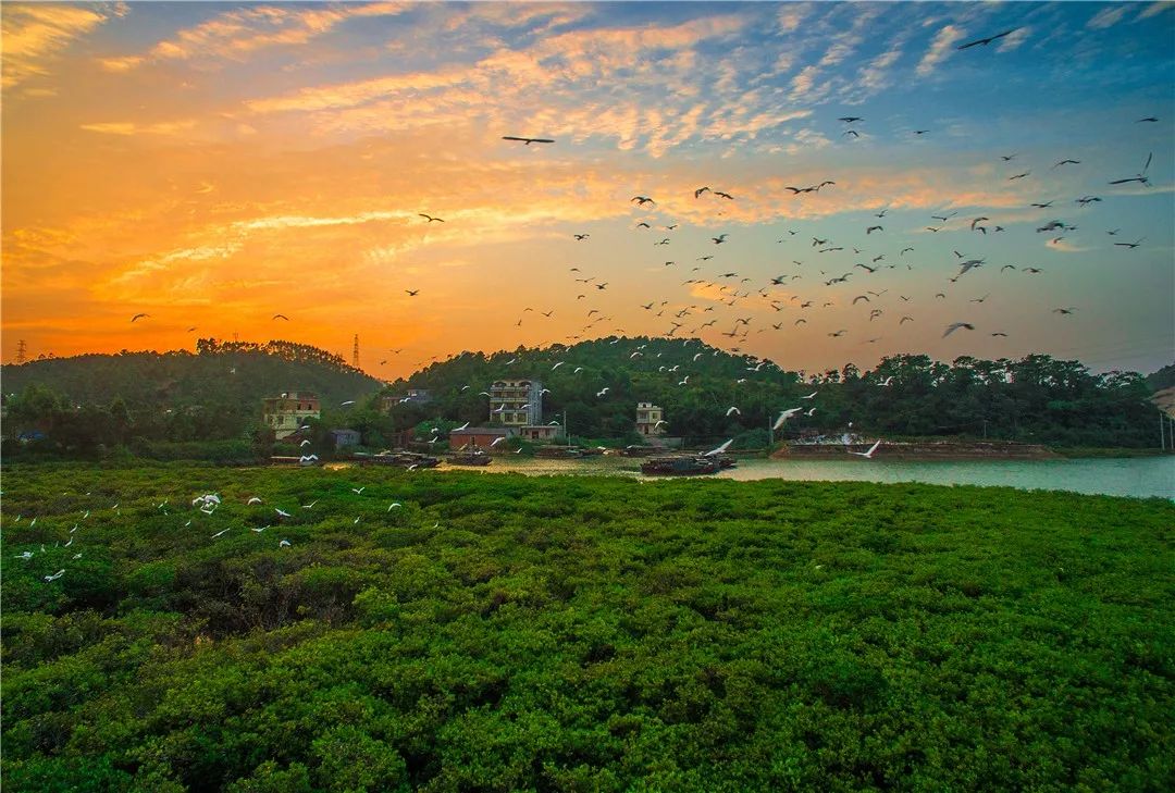 带你看防城港的美景,关于防城港风景的诗句