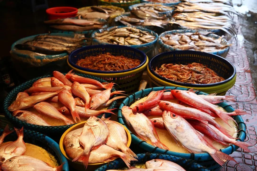 这些隐蔽观光地，浓缩了整座城的烟火气