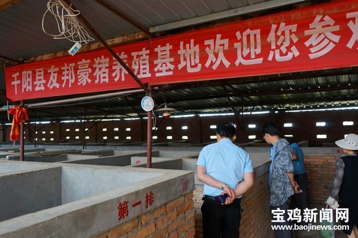 豪猪养殖致富之门,致富经豪猪养殖视频