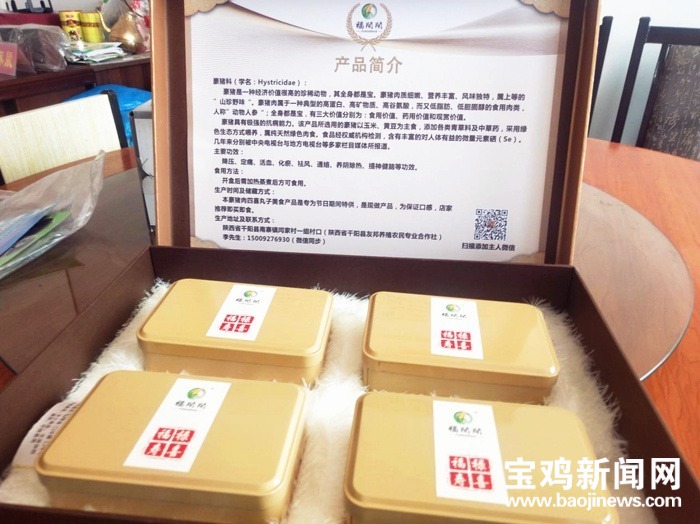 豪猪养殖致富之门,致富经豪猪养殖视频