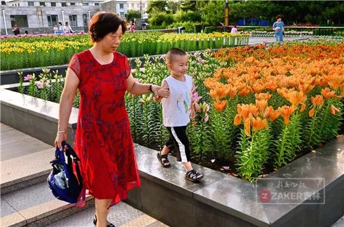 百合花海打卡地,春天长春网红打卡地