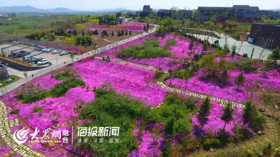 烟台马家沟风景区,烟台马家沟水上乐园