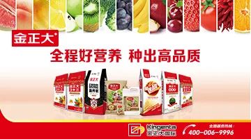 西瓜苗受肥害怎么解,西瓜重茬导致瓜农的损失谁负责