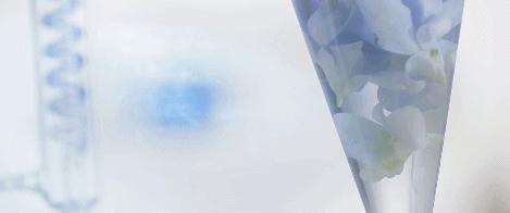 坚决不做“黄脸婆”！有了它，再差的皮肤都有救！丨开团