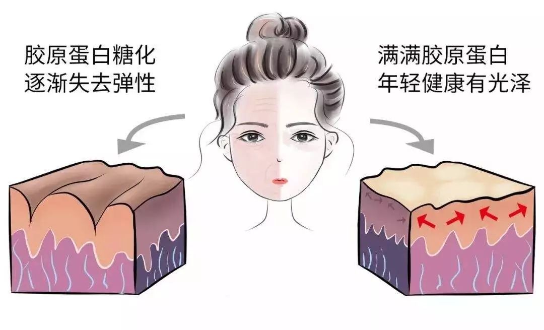 日本“吸油圣斗士”，1天1条，7天瘦出小蛮腰！酸酸甜甜，比果冻还好吃