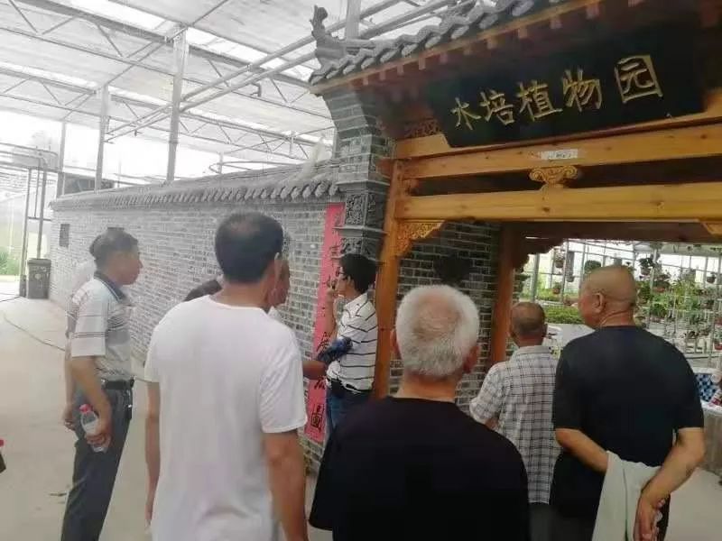 鄂尔多斯智能温室无土栽培,智能温室无土栽培作物有哪些