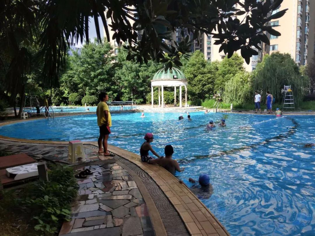 家长看过来！天心区2019年暑期向中小学生免费开放潜水场所和开展体育项目免费培训的公告