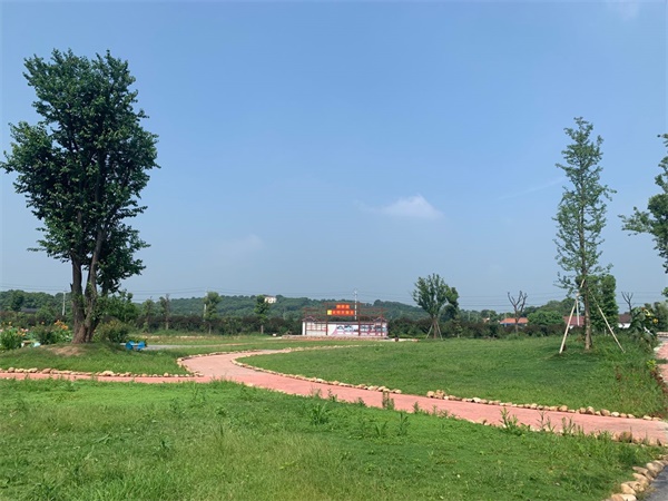 走乡村看新貌视频,走进乡村看振兴印江板溪