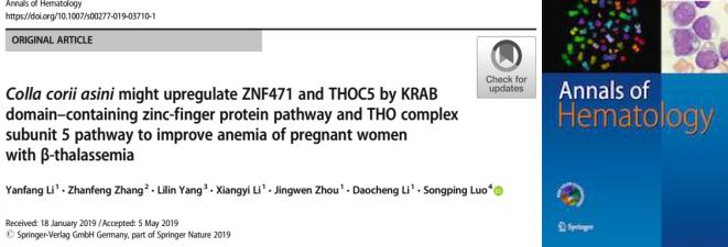 地贫孕妇早期可以喝阿胶吗,地中海贫血保胎中草药处方
