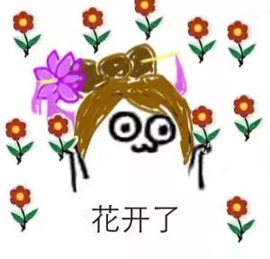 中国官方承认的国花选出来了吗,中国的国花目前选出来了吗