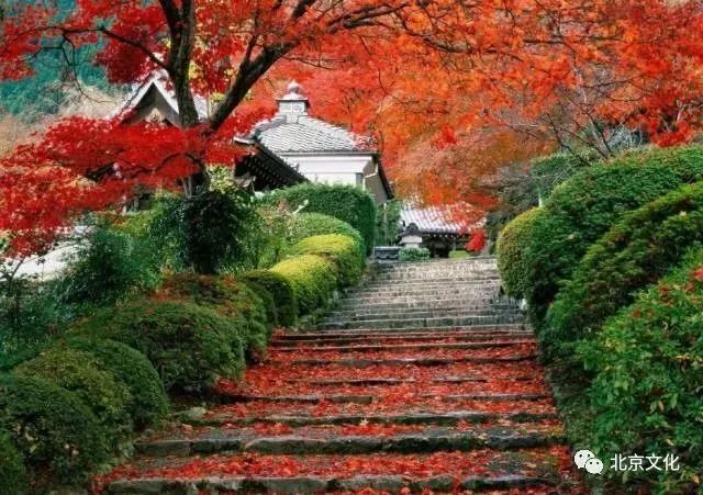 我叫北京，这是我最新的简历，请多关照