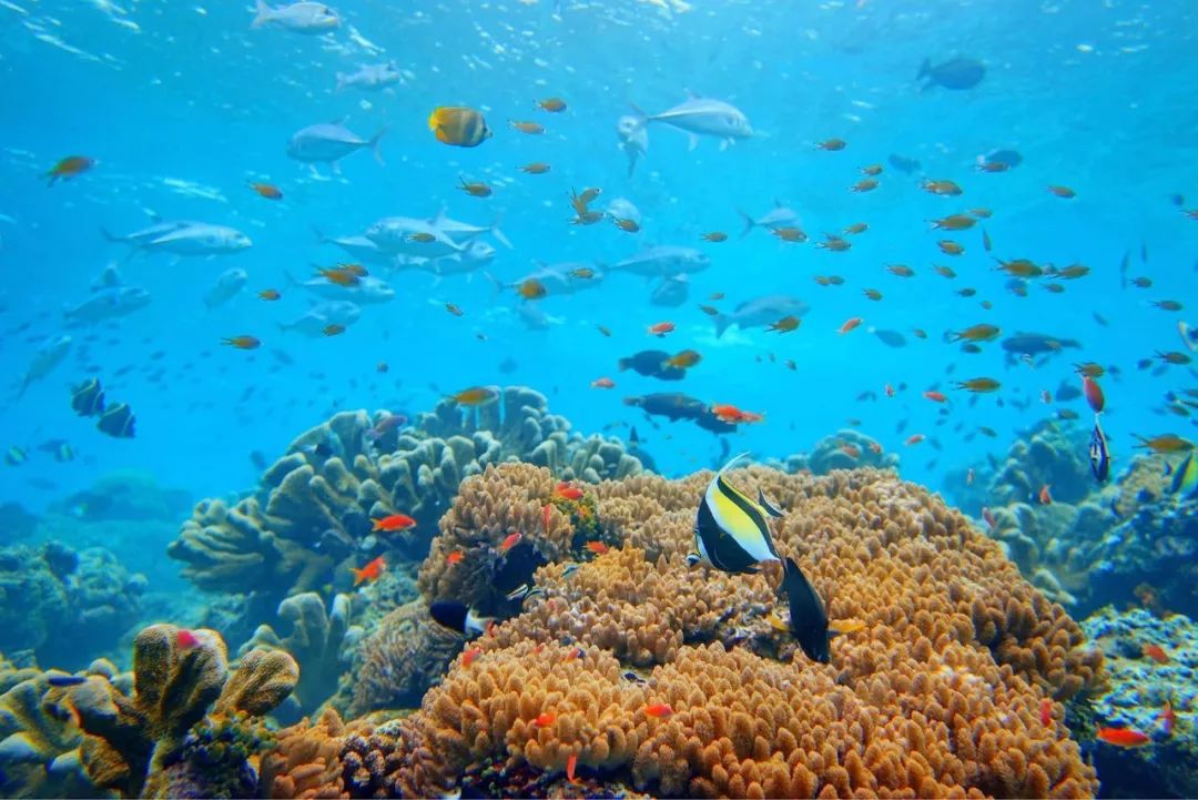 东南亚最值得去旅游的地方,东南亚适合旅游的目的地