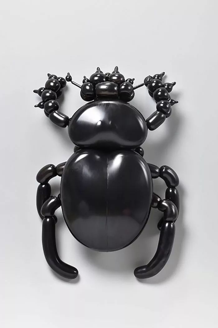 全球最神奇的动物园,日本神奇动物园