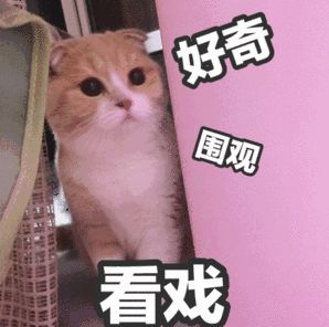 天呐！武汉这个区开挂了！反正我是羡慕了！