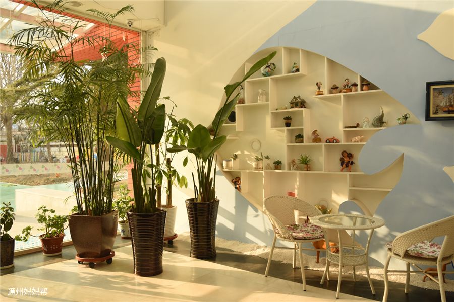 幼儿园免费入园体验,幼儿园免费体验班可以去体验吗