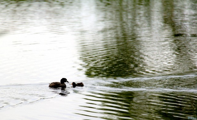南湖湿地公园图片大全,南湖湿地公园四季风景皆美