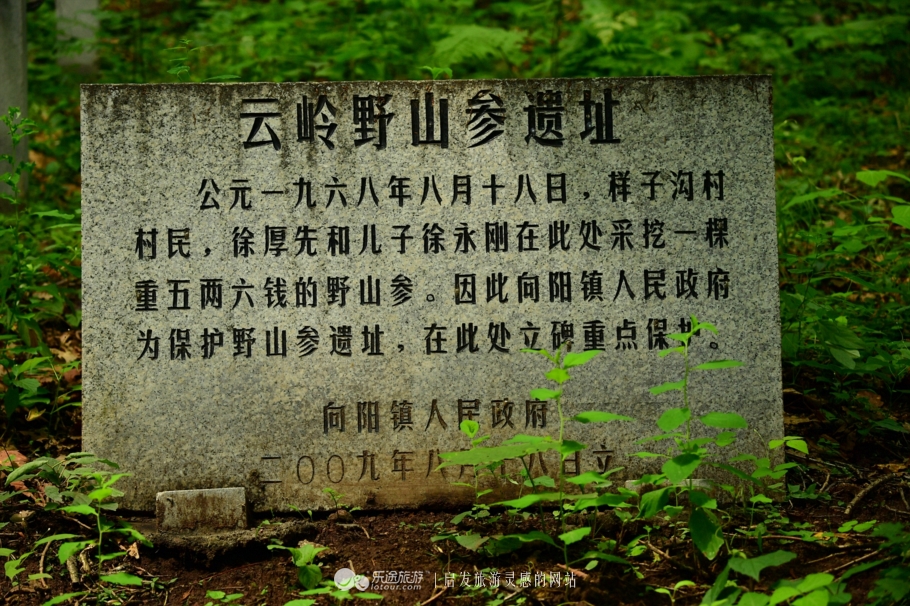 云岭深山自然美景,云岭野山参风景旅游区