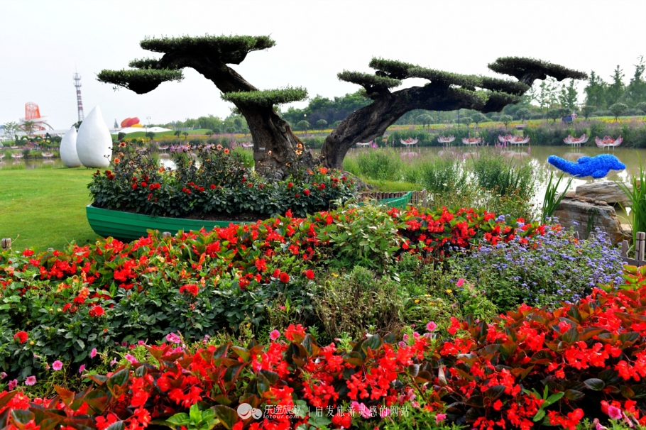 荷兰郁金香花海在哪个地方,盐城大丰荷兰郁金香花海