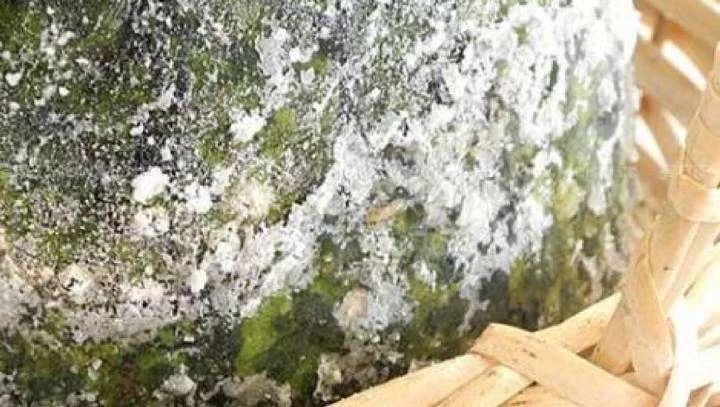 西瓜霜都有什么样式,西瓜霜简介