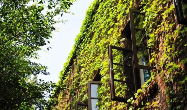 沙坪坝有意思的建筑,探寻重庆老建筑