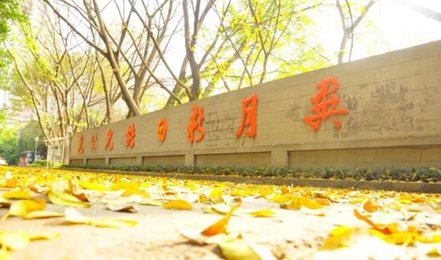 沙坪坝有意思的建筑,探寻重庆老建筑