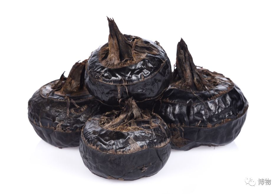 梨子好吃又脆,梨和脆萝卜