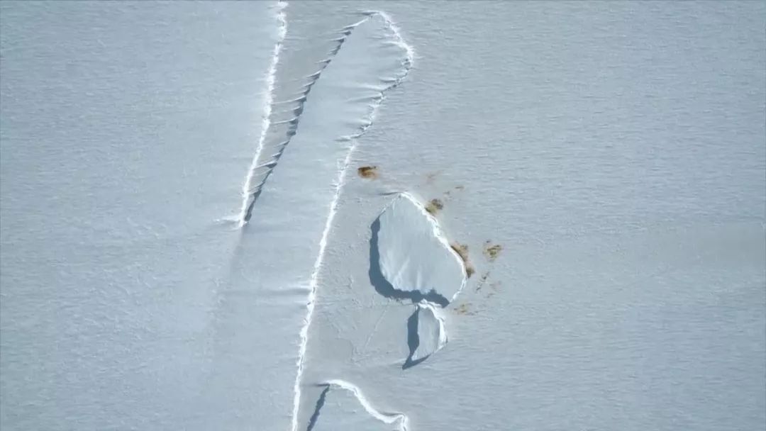 惊掉网友下巴的画面,豆瓣9.1分令人绝望