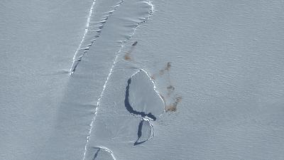 惊掉网友下巴的画面,豆瓣9.1分令人绝望