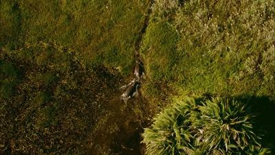 惊掉网友下巴的画面,豆瓣9.1分令人绝望