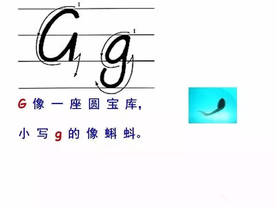 26个字母书写规范让孩子们常练习,教小孩26个字母的正确读音