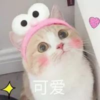 网红爆浆巧克力面膜测评,一年四季都能用的九款网红面膜