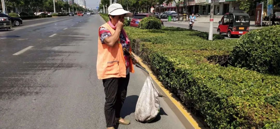 高温下，磁县娇艳的“城市黄玫瑰”