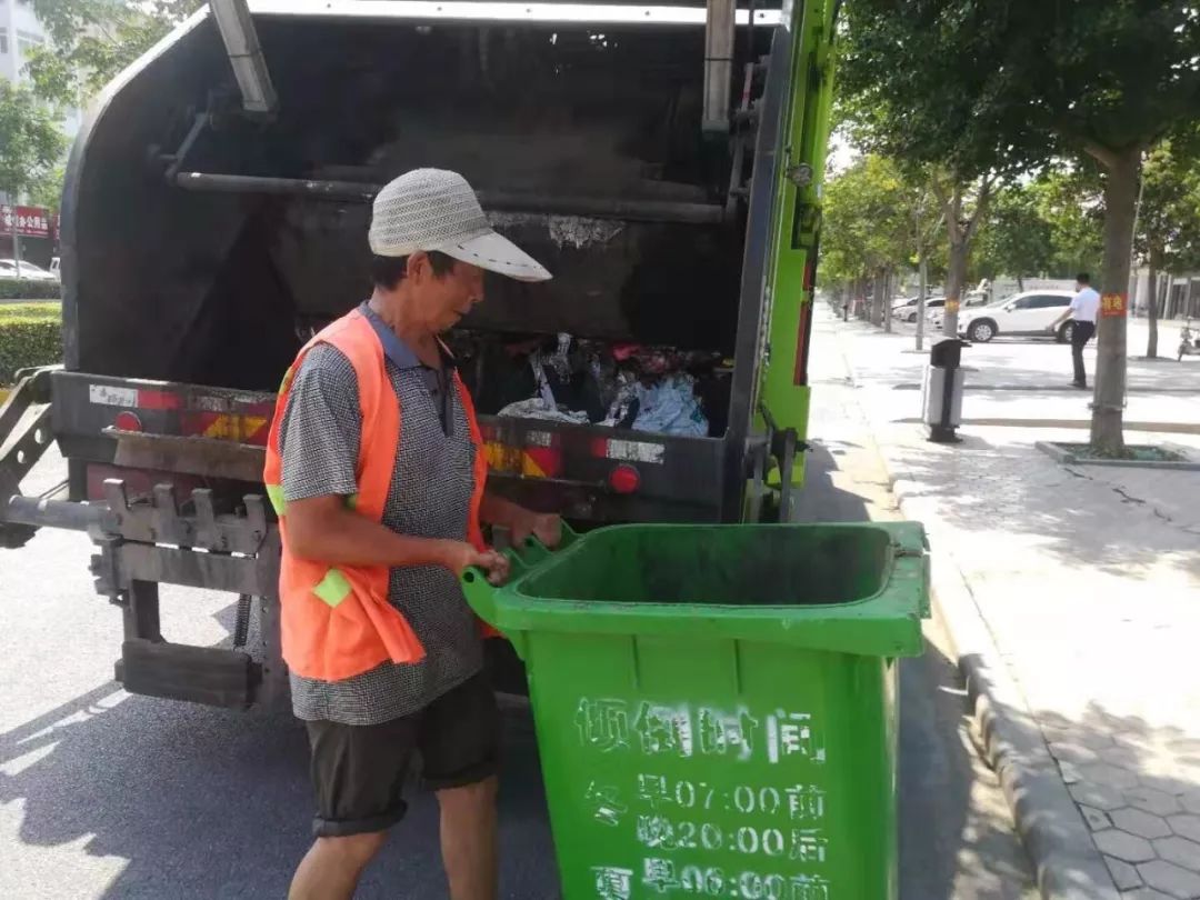 高温下，磁县娇艳的“城市黄玫瑰”